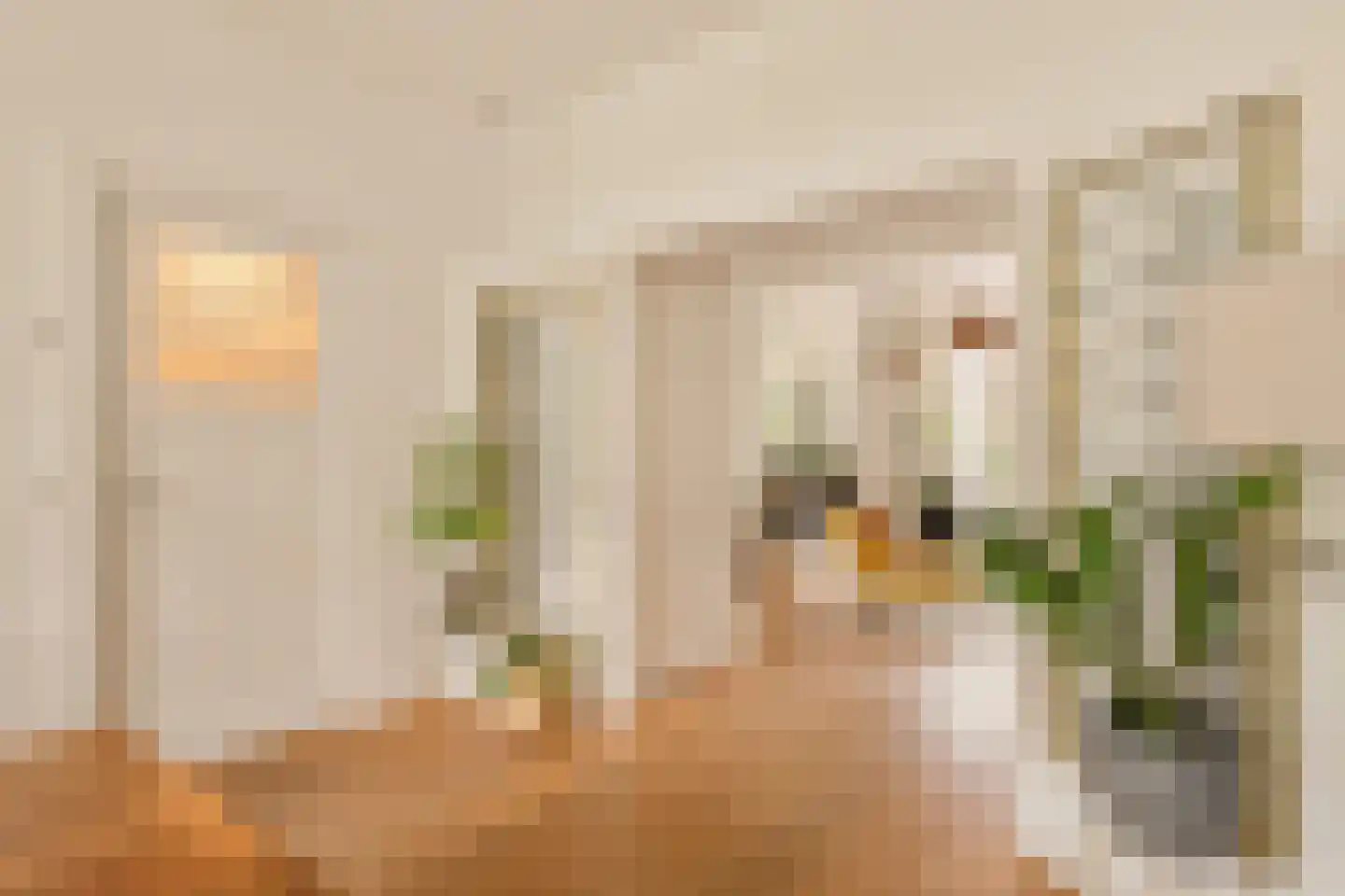 Parnassusweg 22 2 Amsterdam thumbnail 14