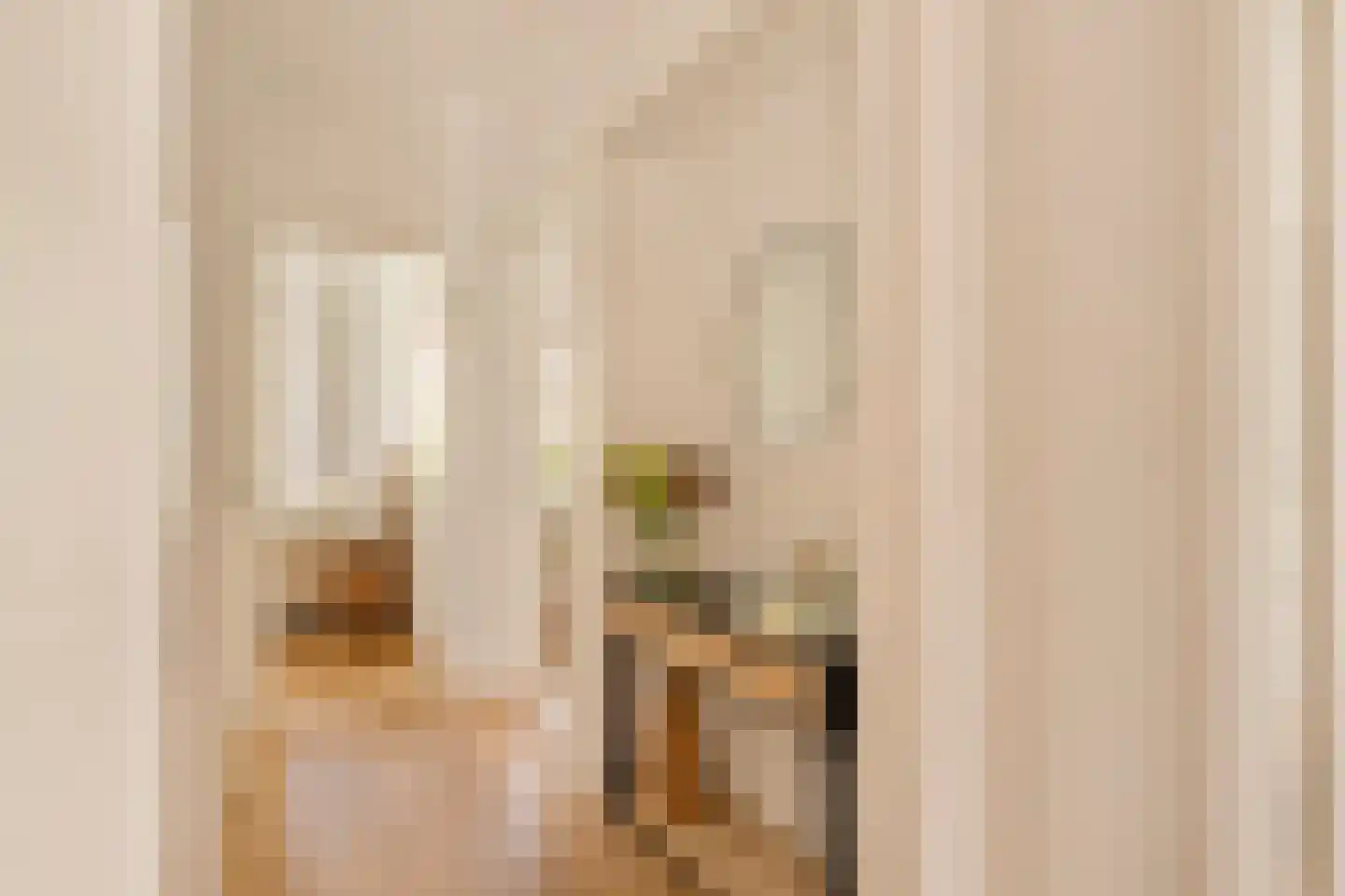 Parnassusweg 22 2 Amsterdam thumbnail 15