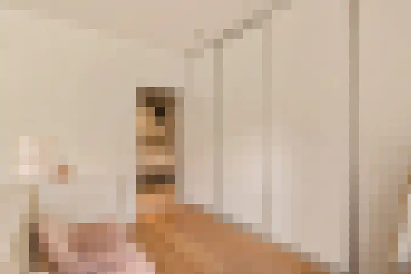Parnassusweg 22 2 Amsterdam thumbnail 17
