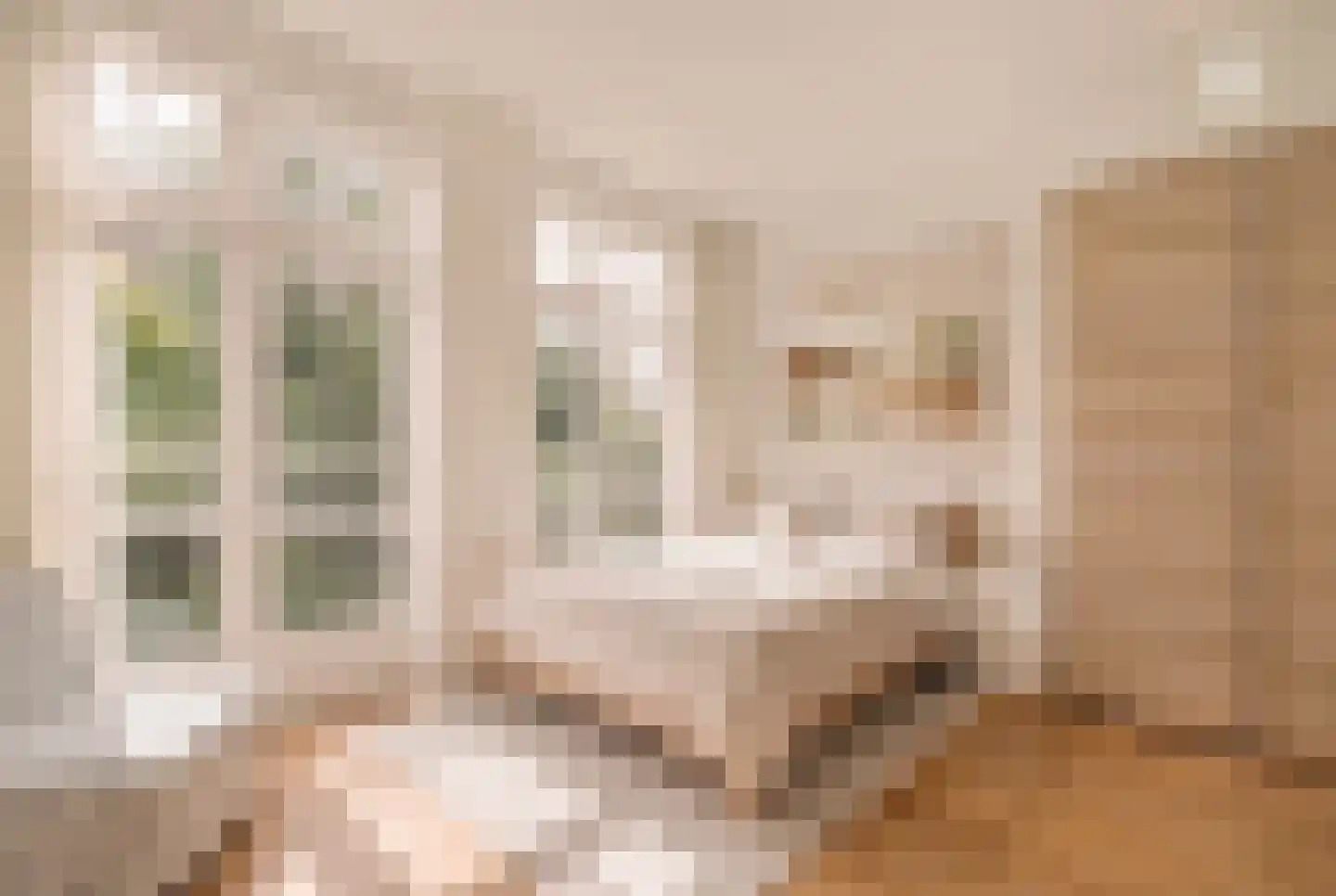 Parnassusweg 22 2 Amsterdam thumbnail 20