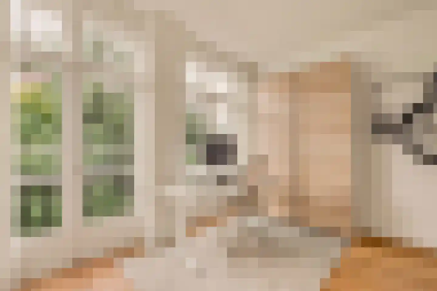 Parnassusweg 22 2 Amsterdam thumbnail 21