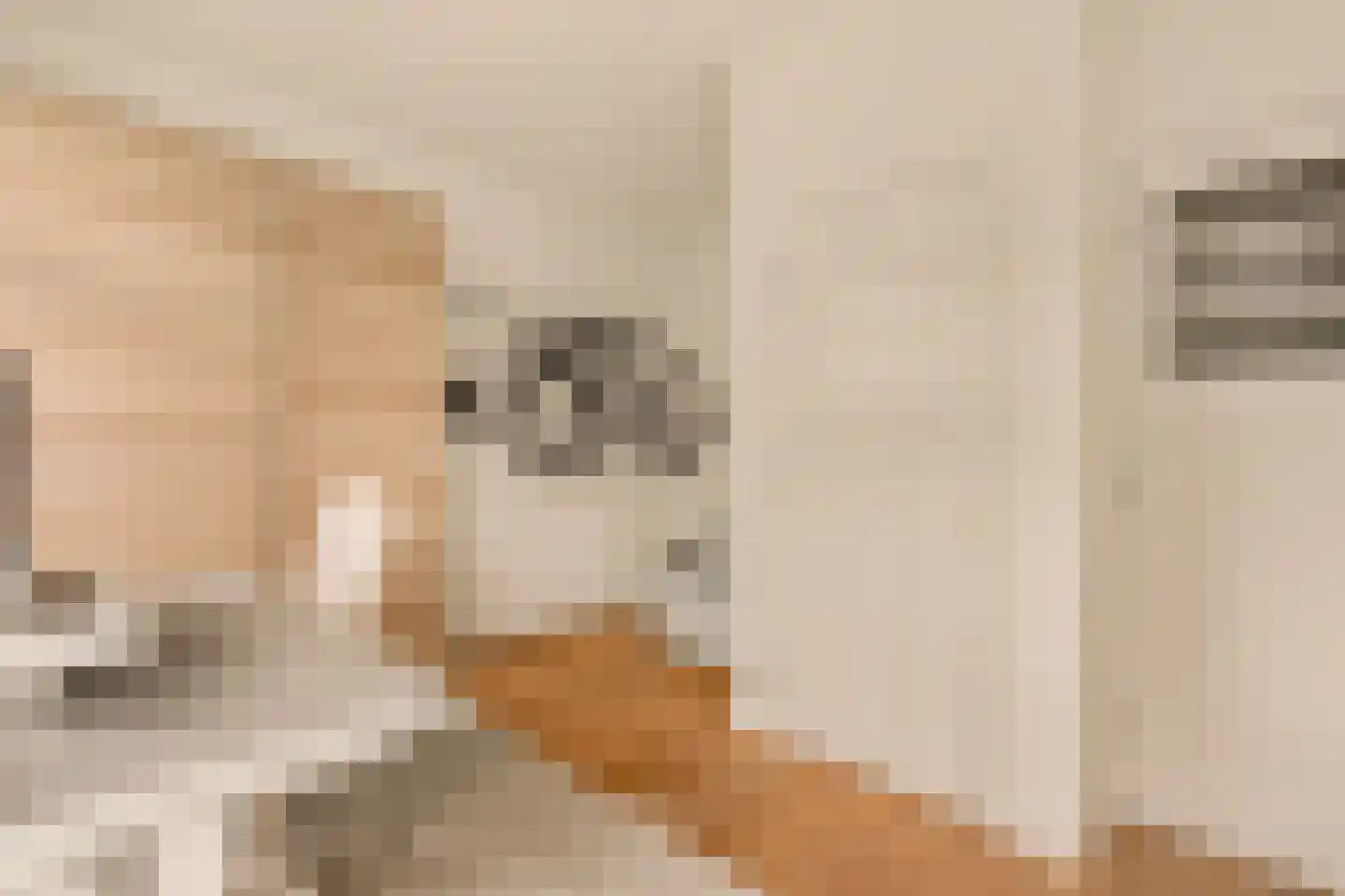 Parnassusweg 22 2 Amsterdam thumbnail 22