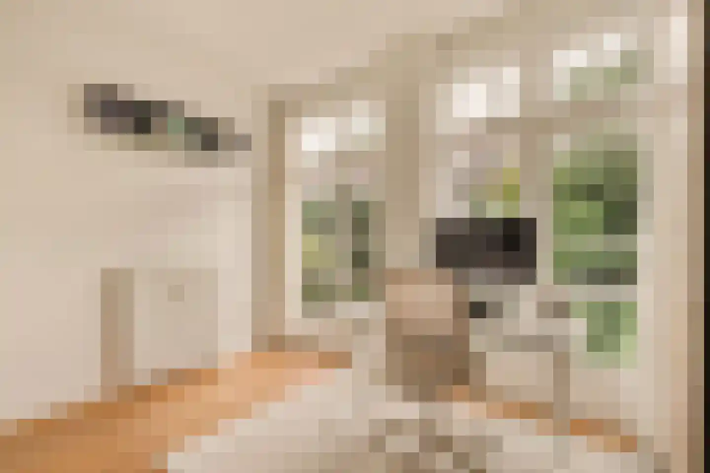 Parnassusweg 22 2 Amsterdam thumbnail 23