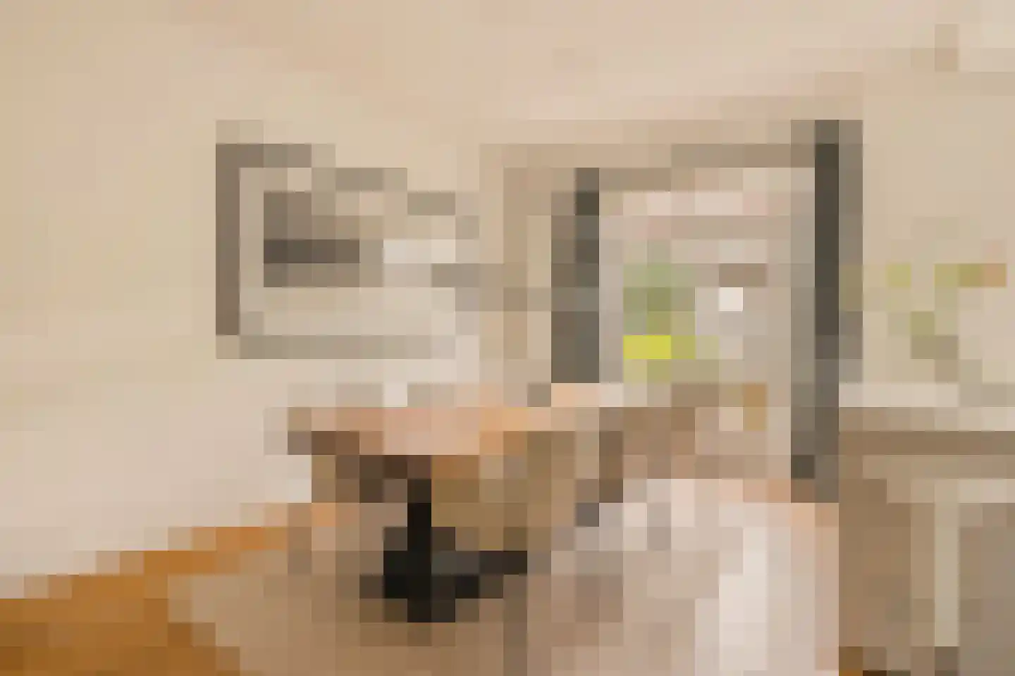 Parnassusweg 22 2 Amsterdam thumbnail 9