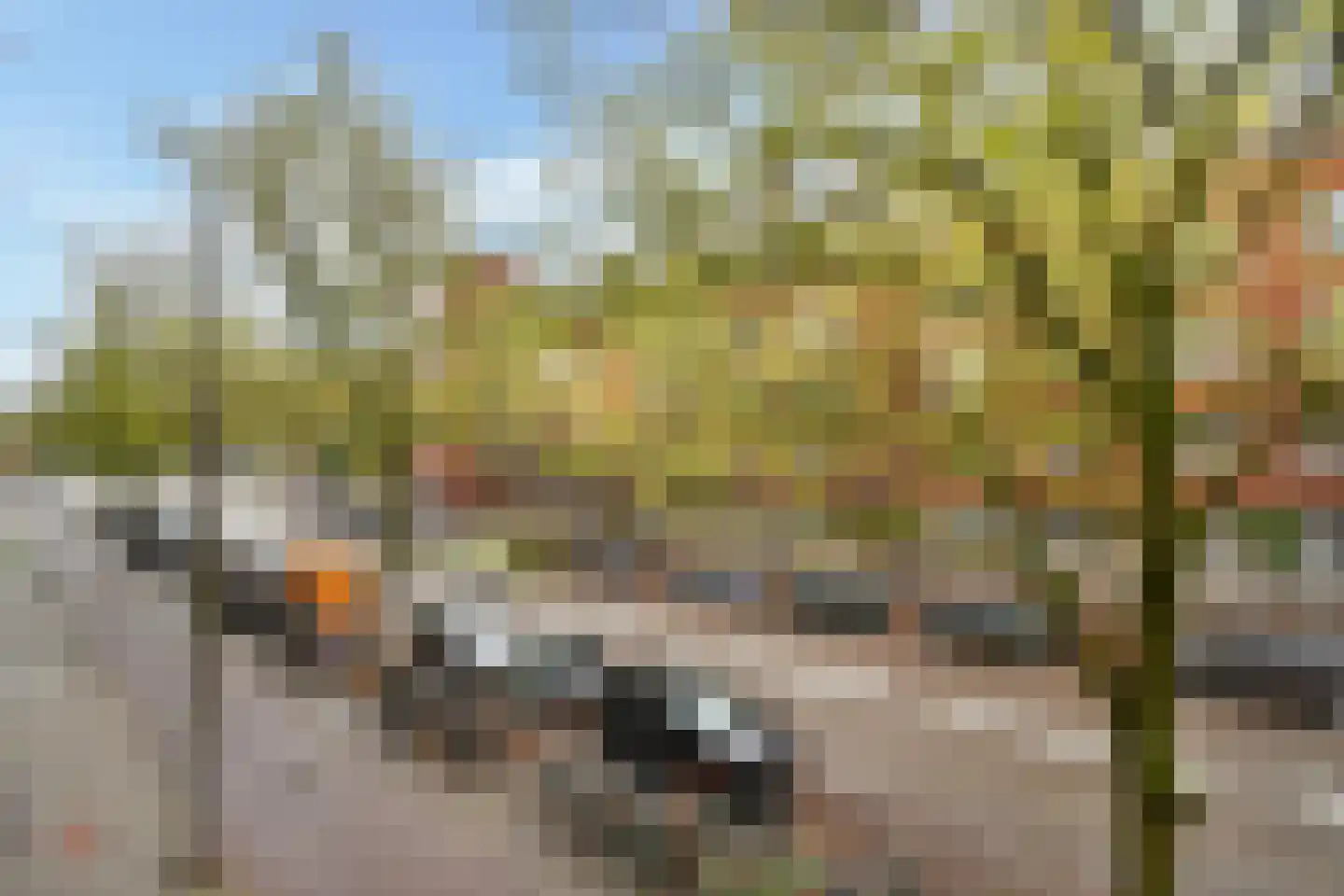 Parnassusweg 25 1 Amsterdam thumbnail 10