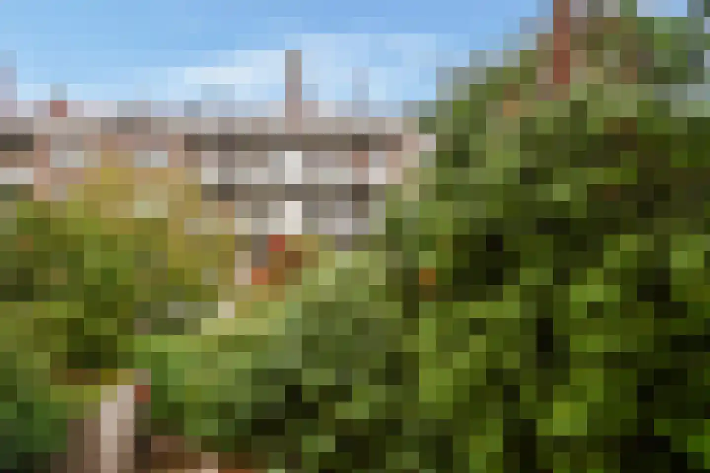 Parnassusweg 25 1 Amsterdam thumbnail 15