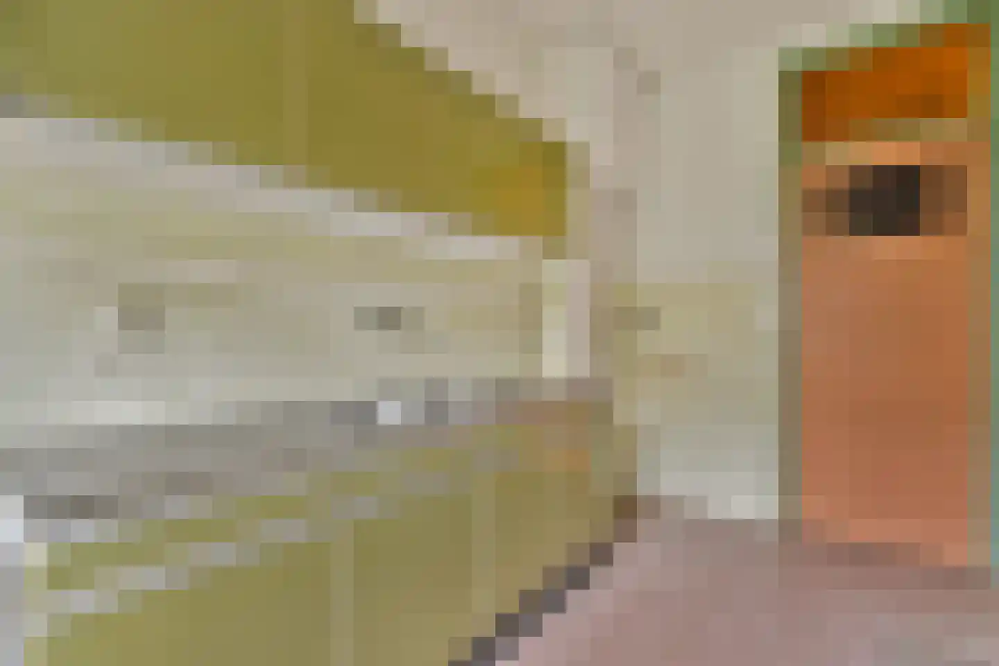 Parnassusweg 25 1 Amsterdam thumbnail 17