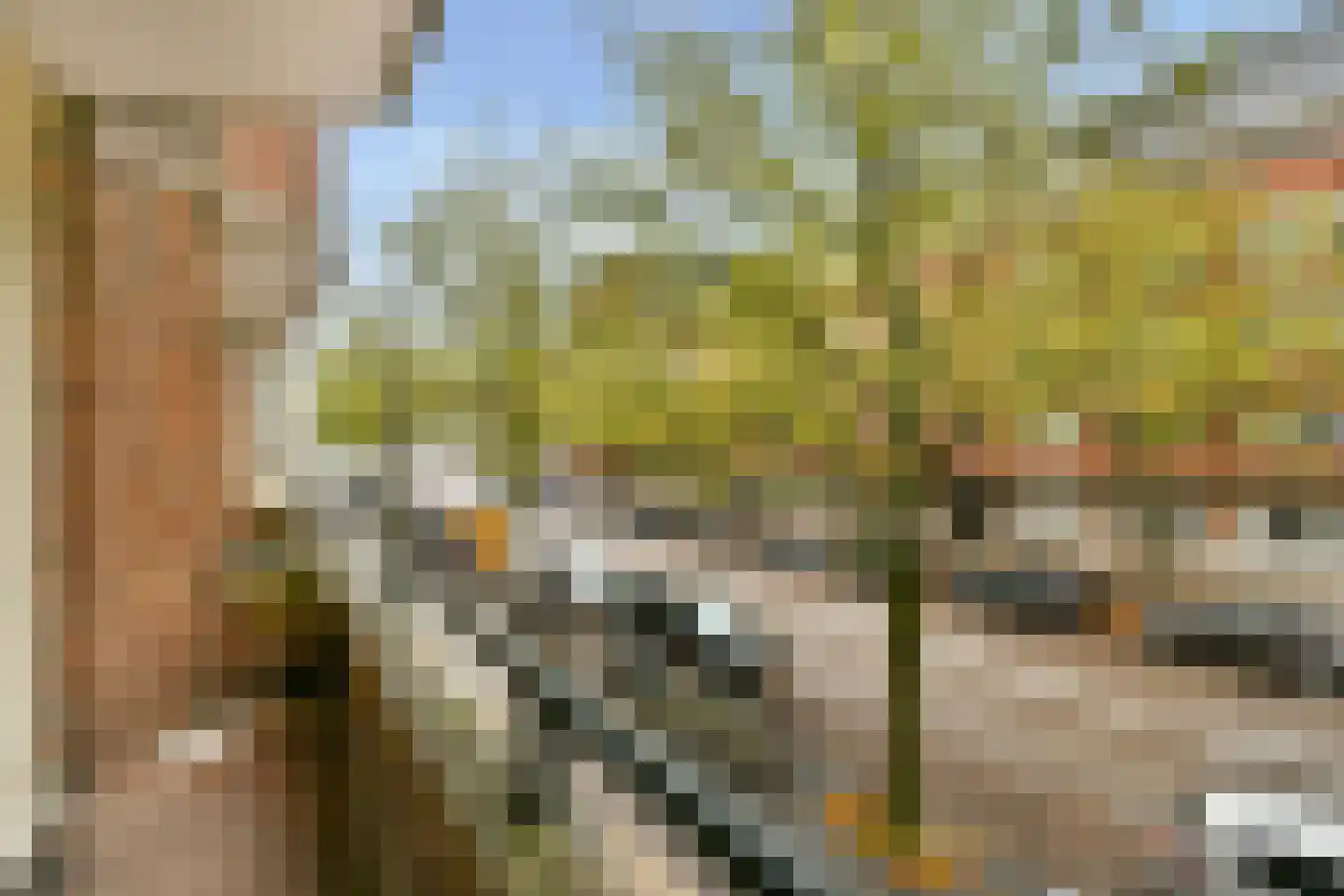 Parnassusweg 25 1 Amsterdam thumbnail 22