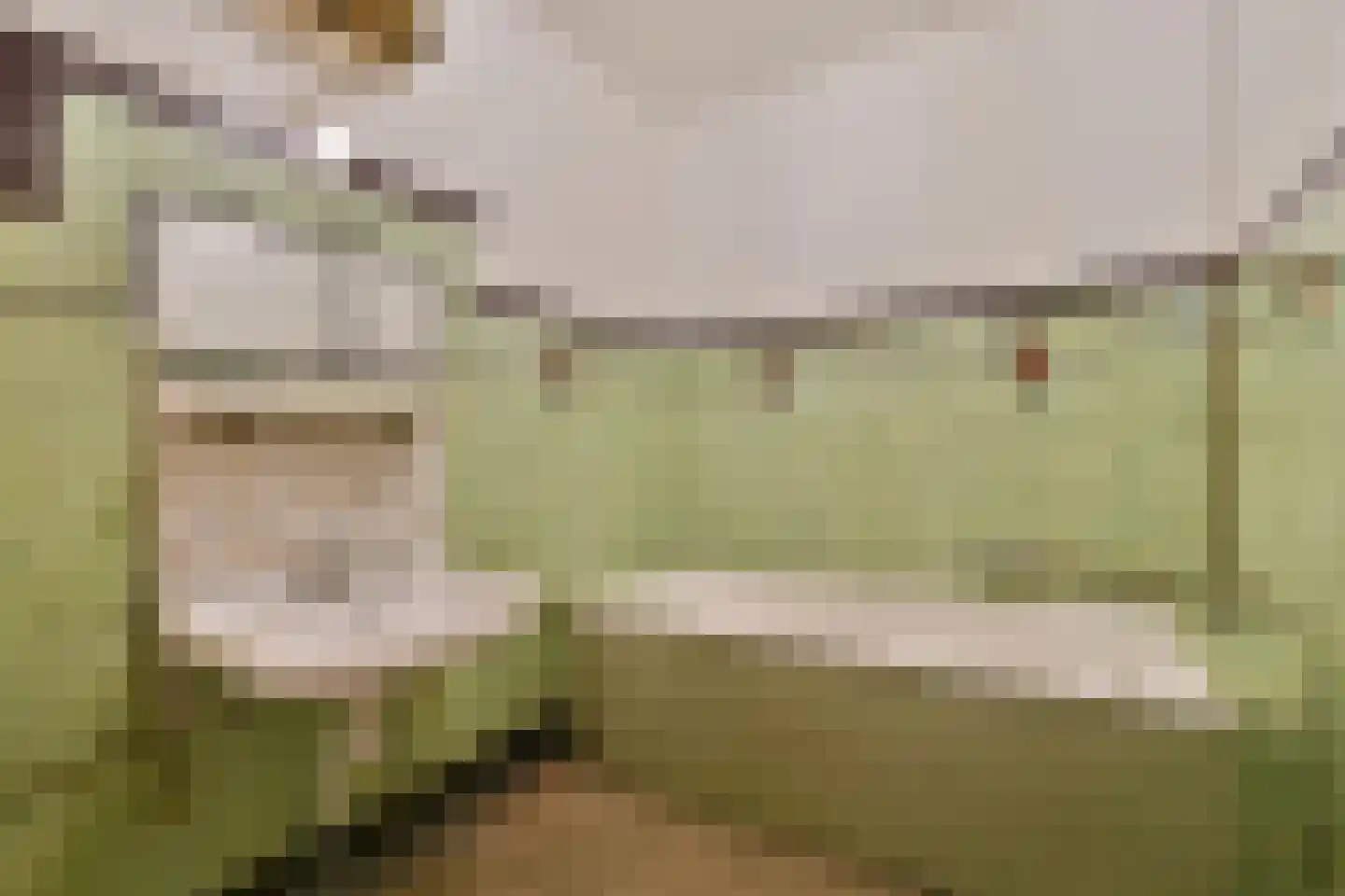 Parnassusweg 25 1 Amsterdam thumbnail 23