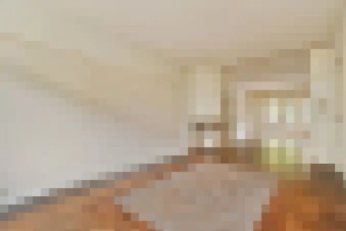 Parnassusweg 25 1 Amsterdam thumbnail 6