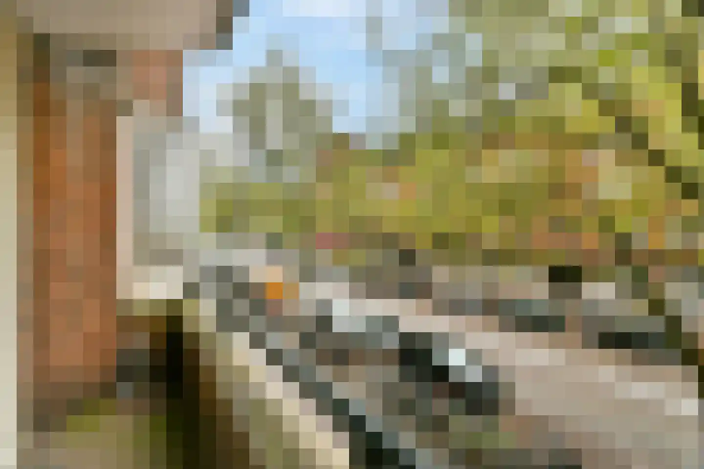 Parnassusweg 25 1 Amsterdam thumbnail 8
