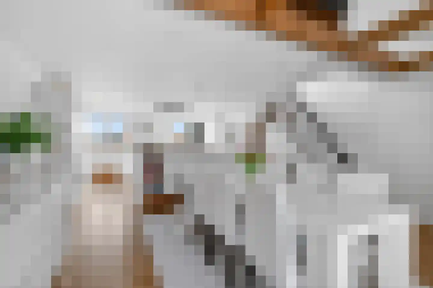 Parnassusweg 31 3 Amsterdam thumbnail 18