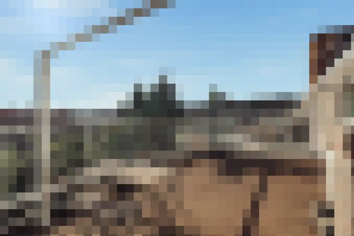 Parnassusweg 31 4 Amsterdam thumbnail 15