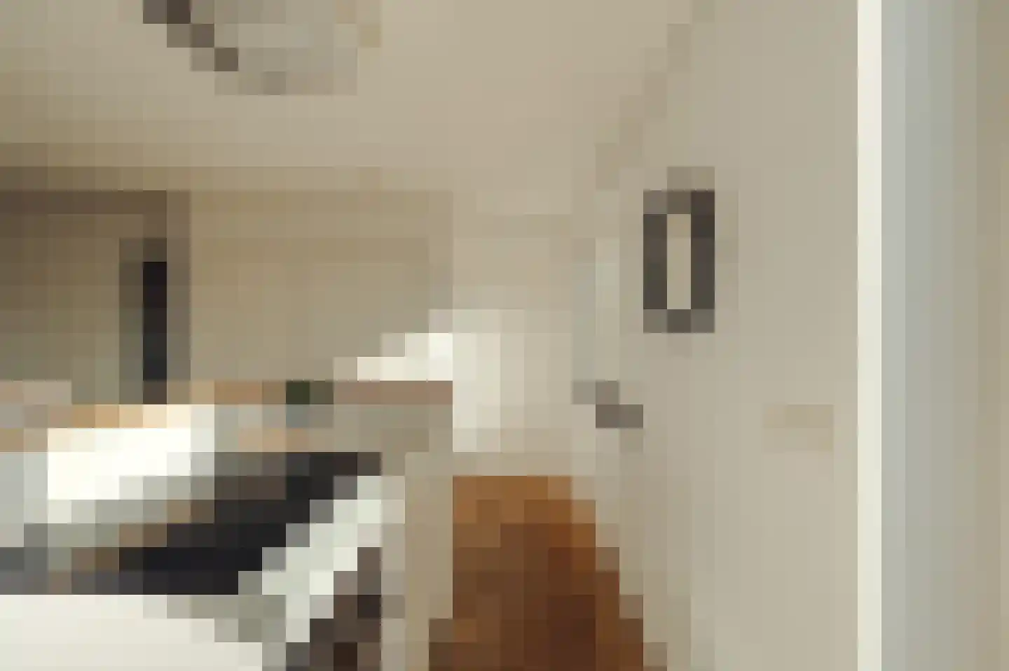 Parnassusweg 31 4 Amsterdam thumbnail 18