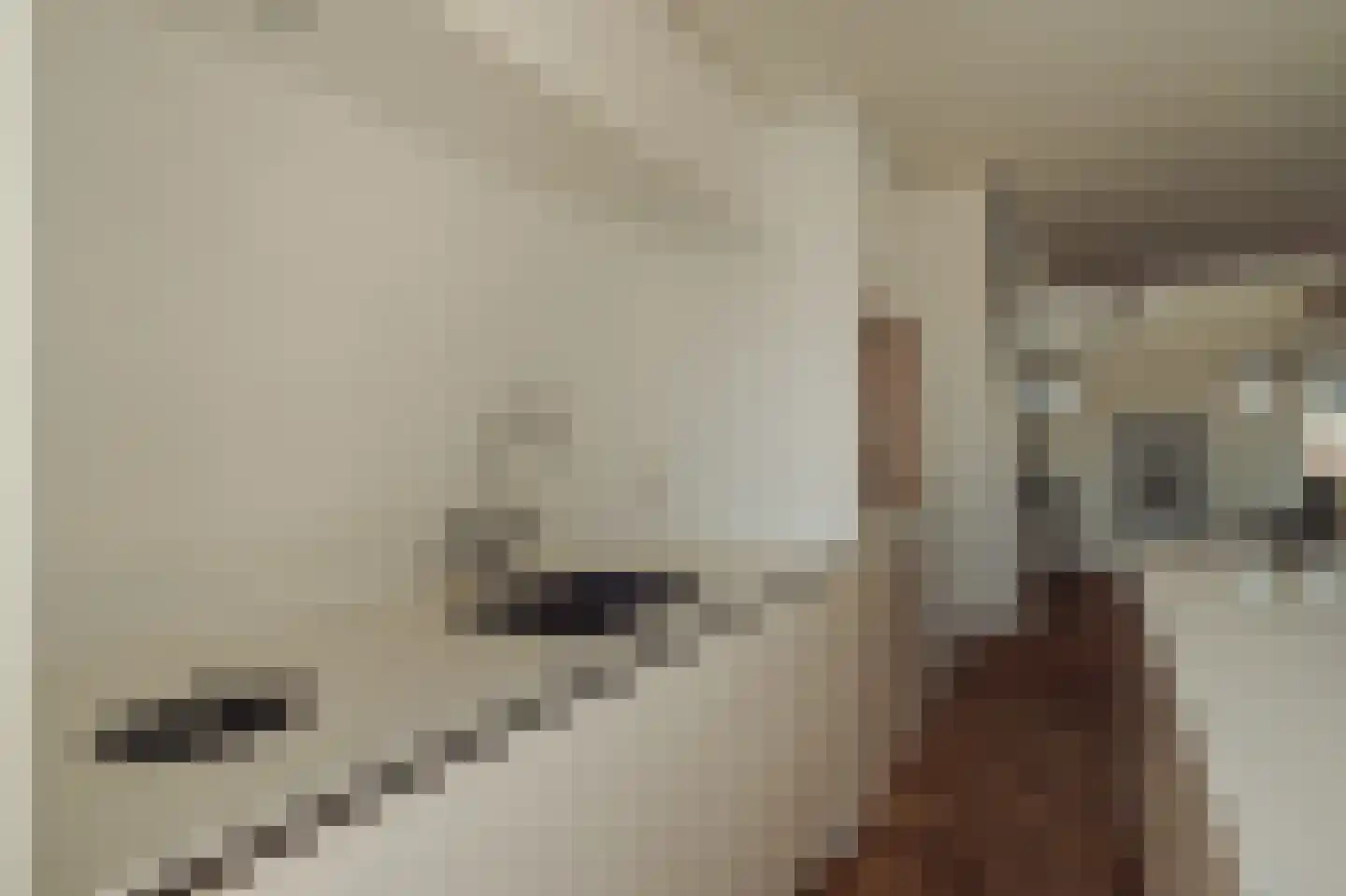 Parnassusweg 31 4 Amsterdam thumbnail 19
