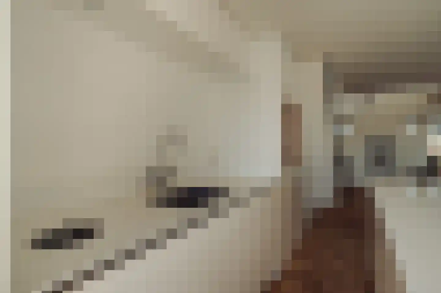 Parnassusweg 31 4 Amsterdam thumbnail 19