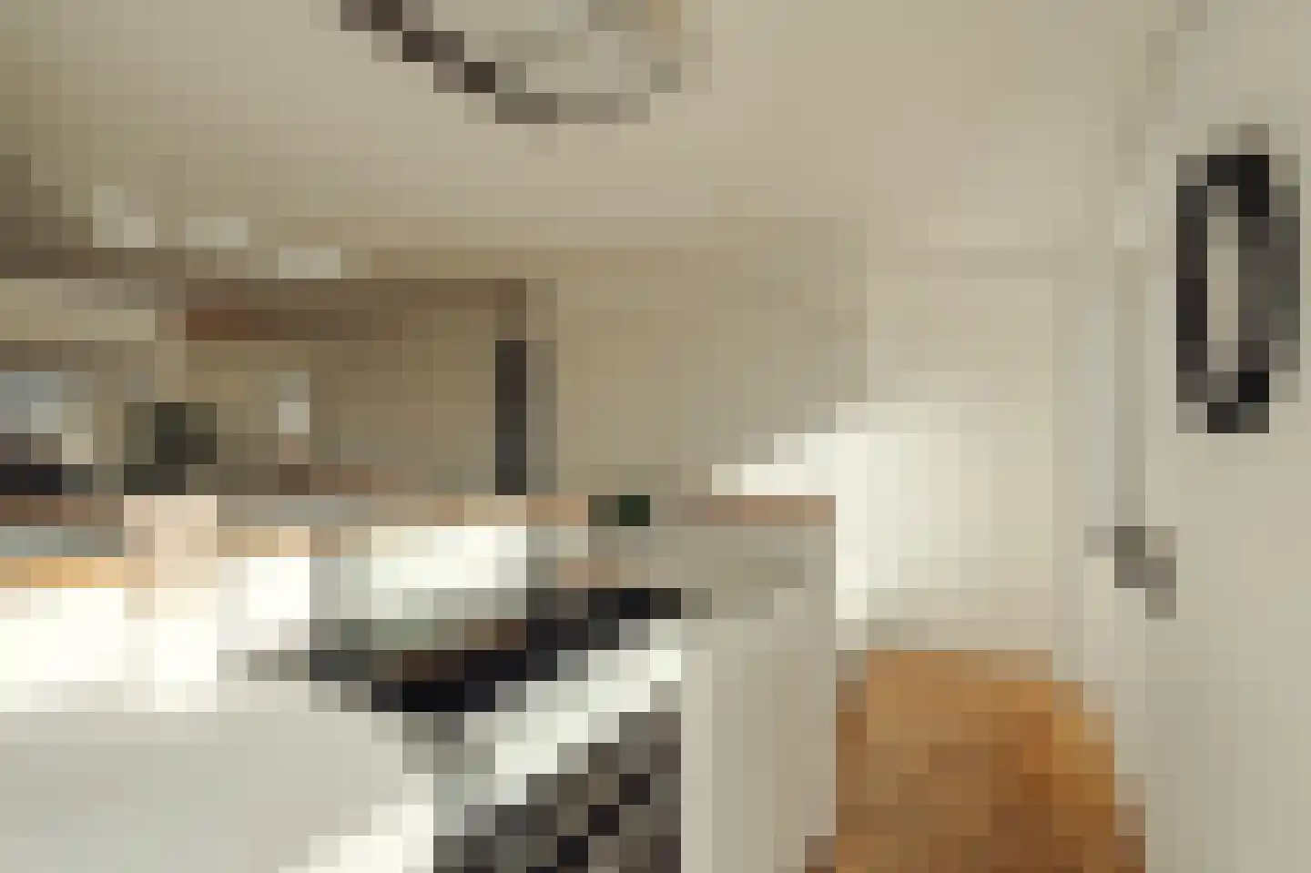 Parnassusweg 31 4 Amsterdam thumbnail 20