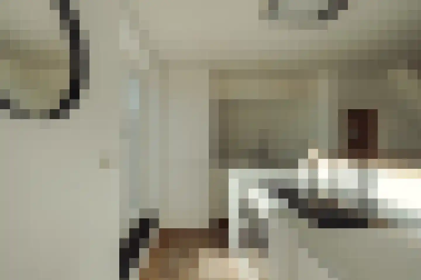 Parnassusweg 31 4 Amsterdam thumbnail 21
