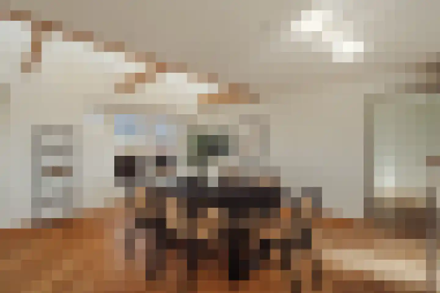 Parnassusweg 31 4 Amsterdam thumbnail 28