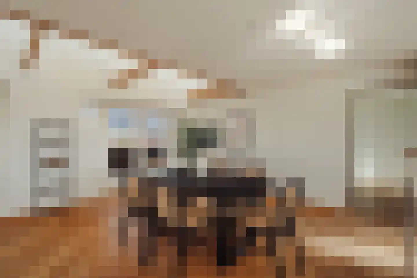 Parnassusweg 31 4 Amsterdam thumbnail 28