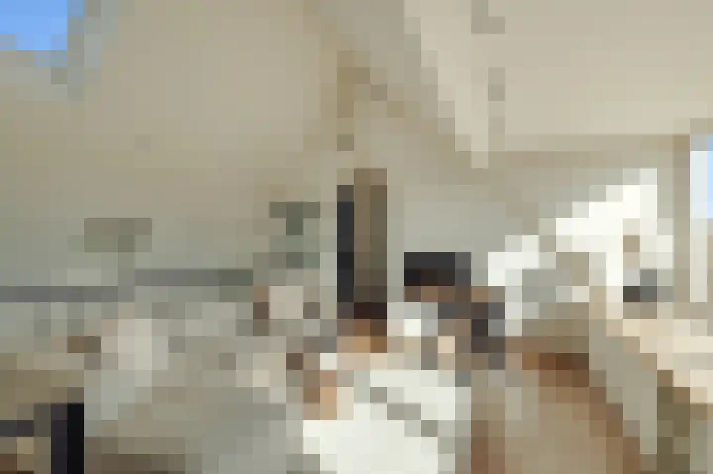 Parnassusweg 31 4 Amsterdam thumbnail 43
