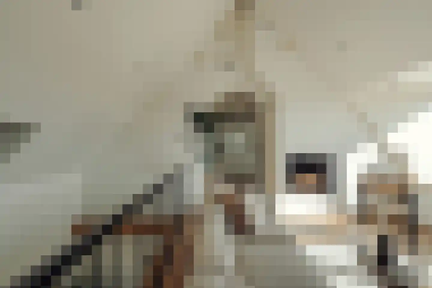 Parnassusweg 31 4 Amsterdam thumbnail 46