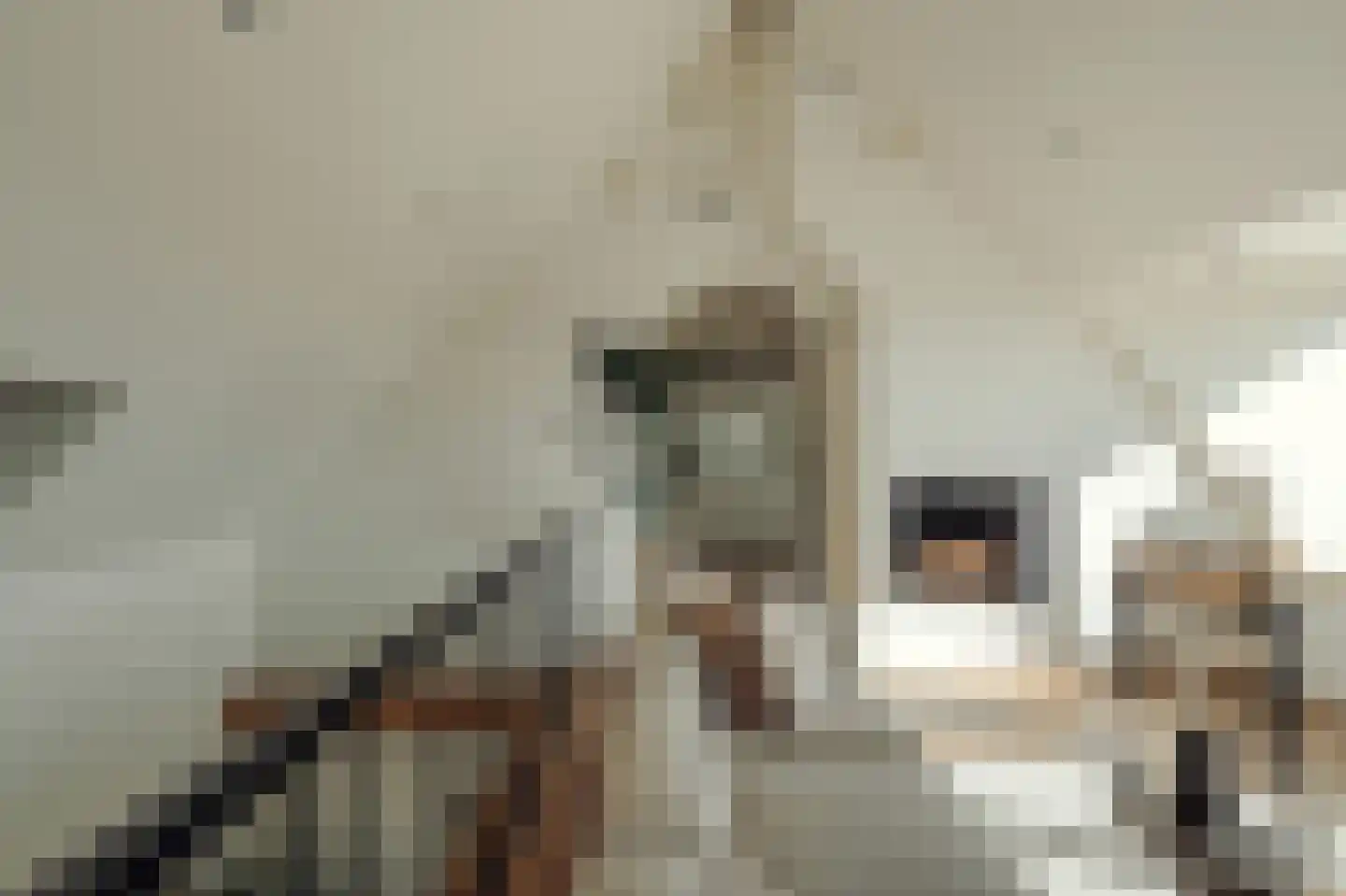Parnassusweg 31 4 Amsterdam thumbnail 46