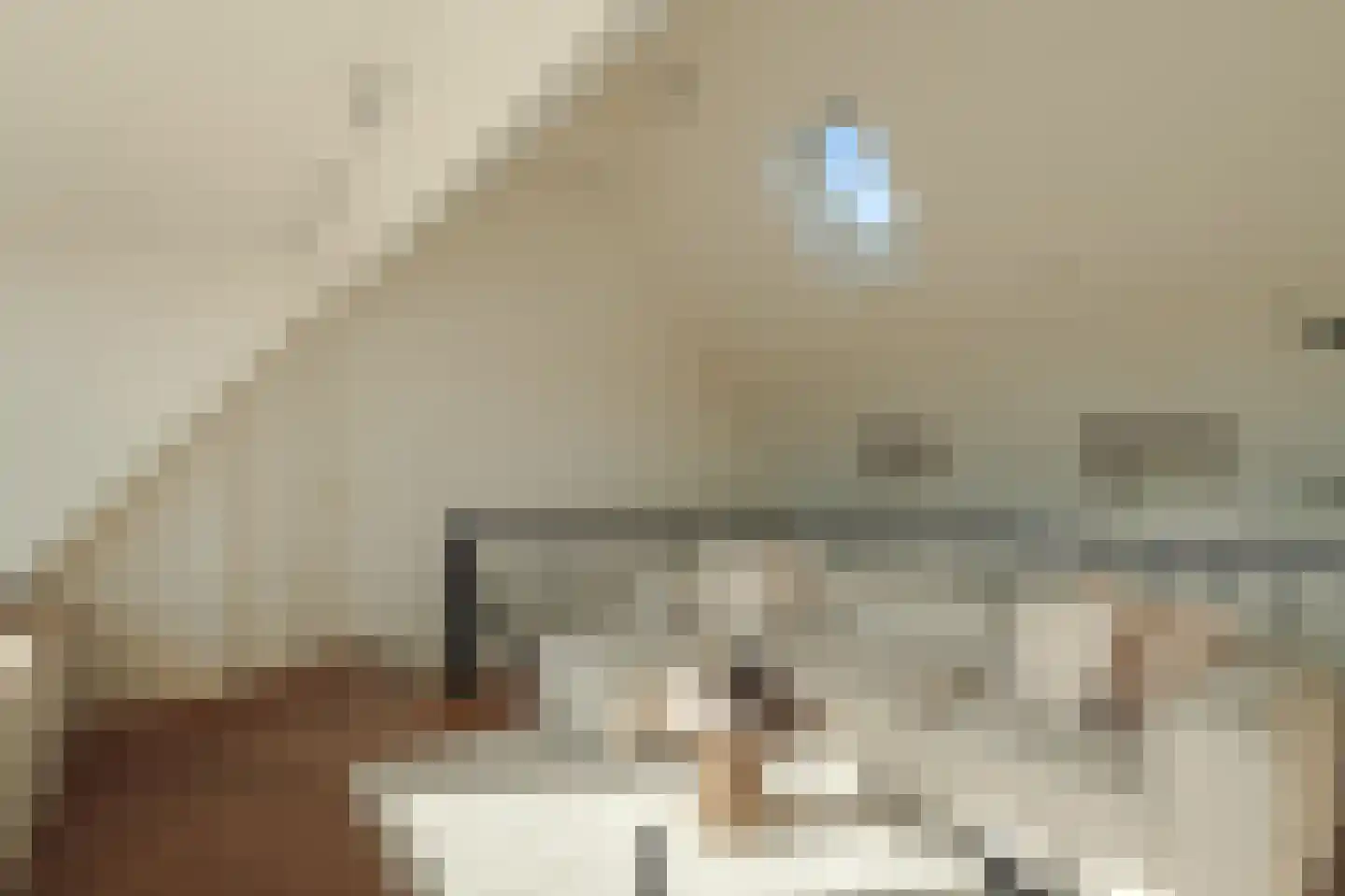 Parnassusweg 31 4 Amsterdam thumbnail 47