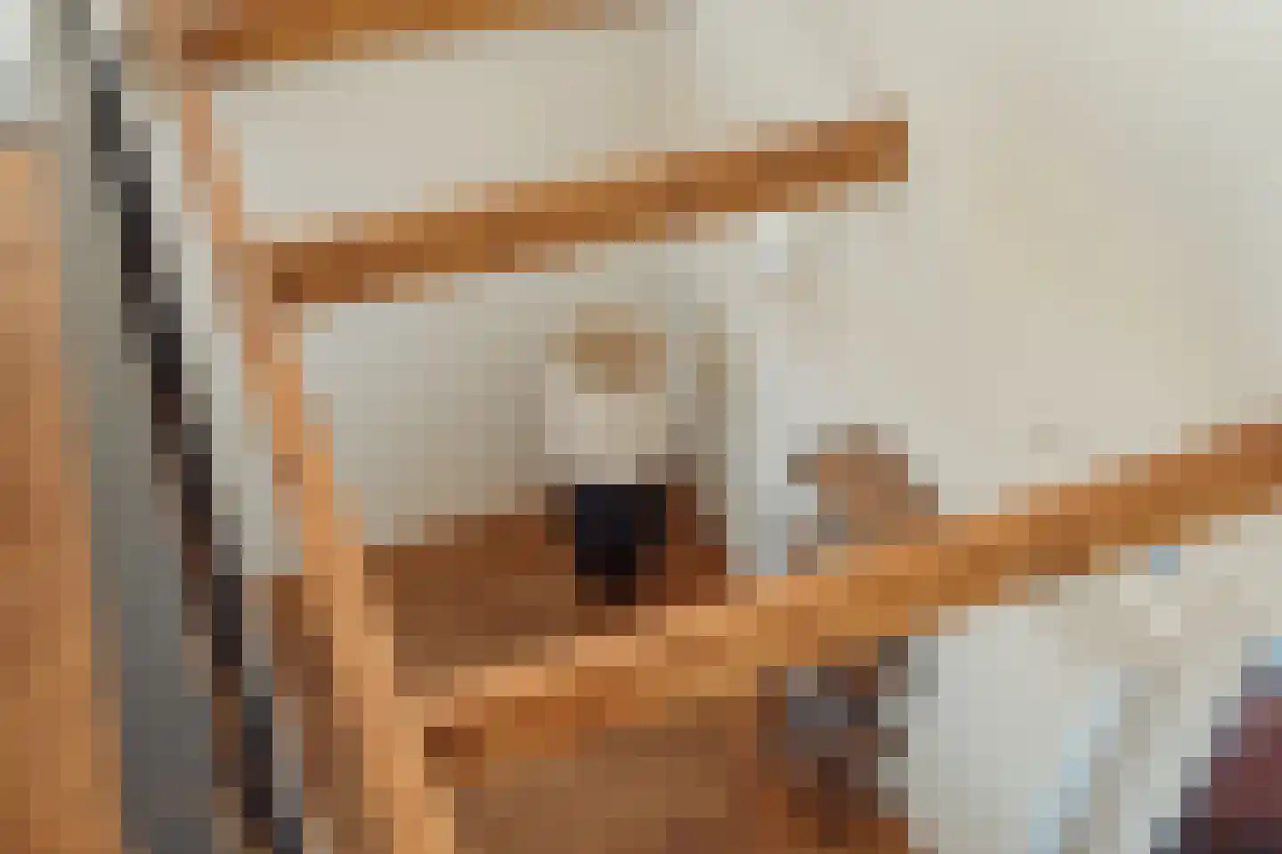 Parnassusweg 31 4 Amsterdam thumbnail 49
