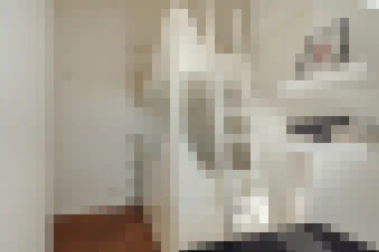 Parnassusweg 31 4 Amsterdam thumbnail 58