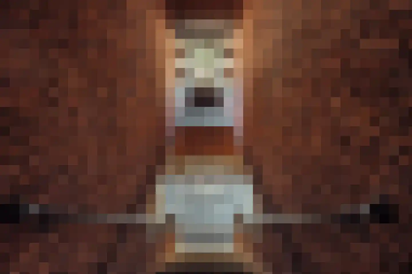 Parnassusweg 31 4 Amsterdam thumbnail 64