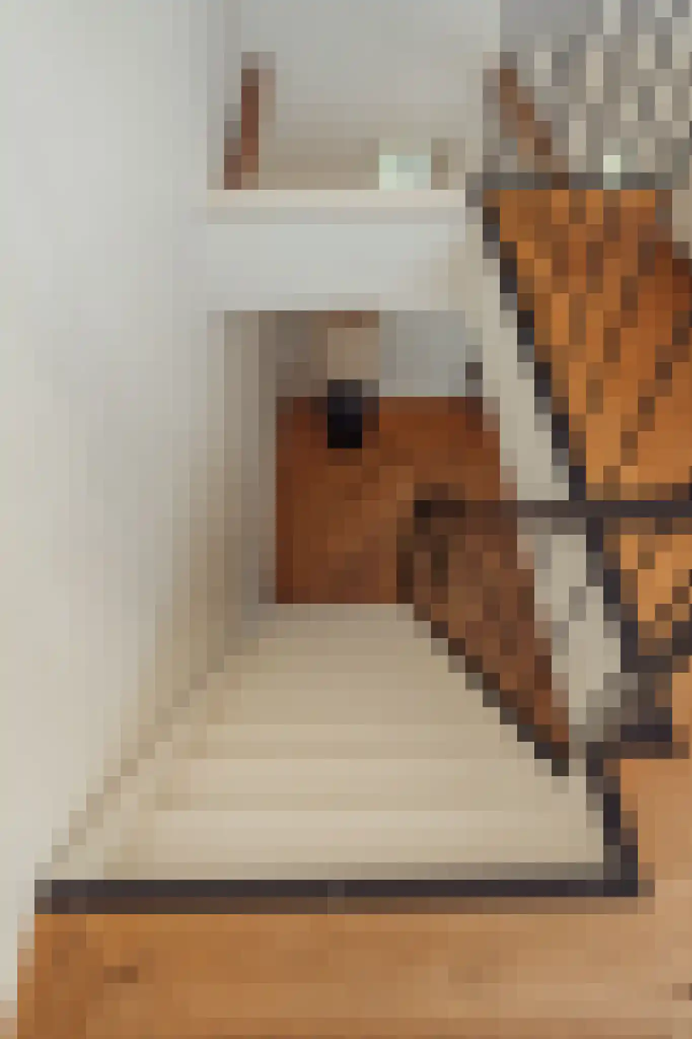 Parnassusweg 31 4 Amsterdam thumbnail 79