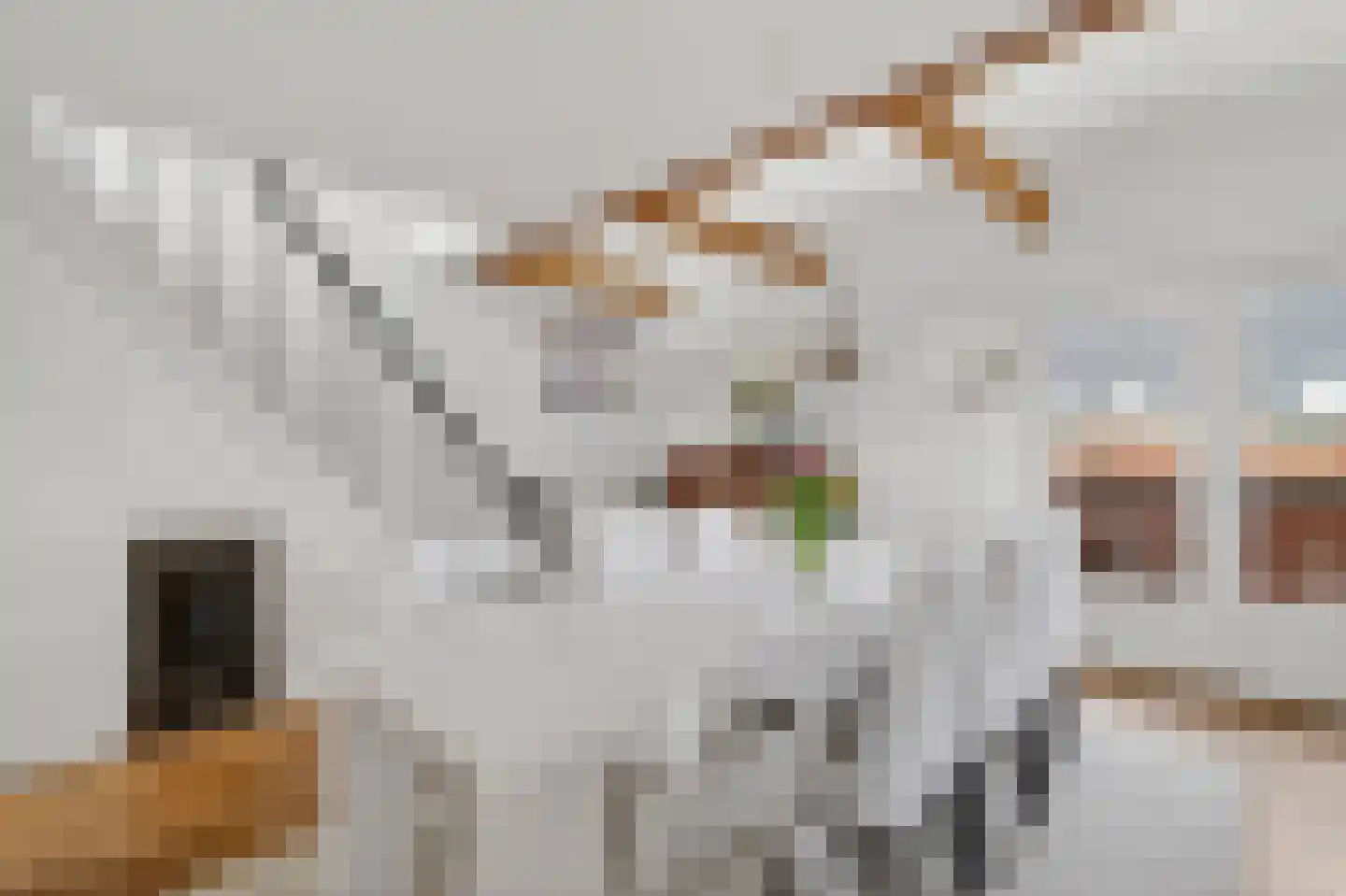 Parnassusweg 31 H Amsterdam thumbnail 16