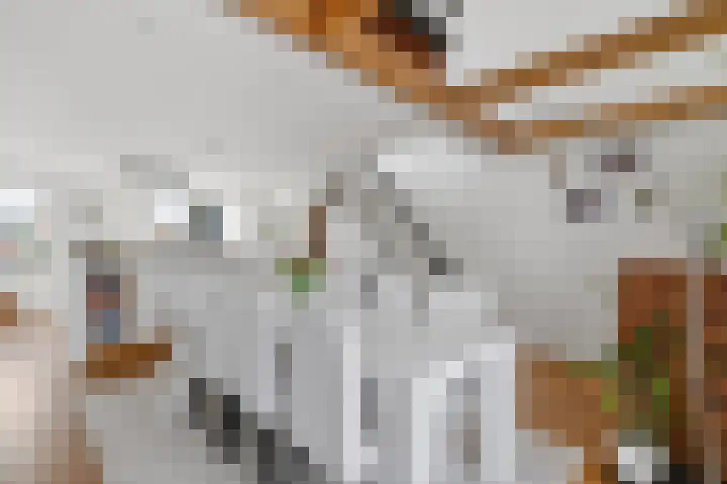 Parnassusweg 31 H Amsterdam thumbnail 17