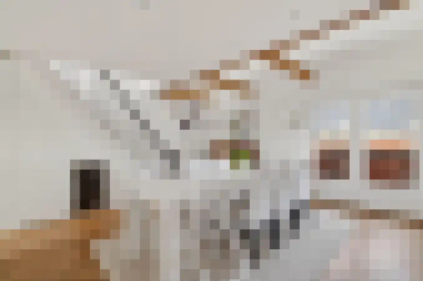 Parnassusweg 31 H Amsterdam thumbnail 19