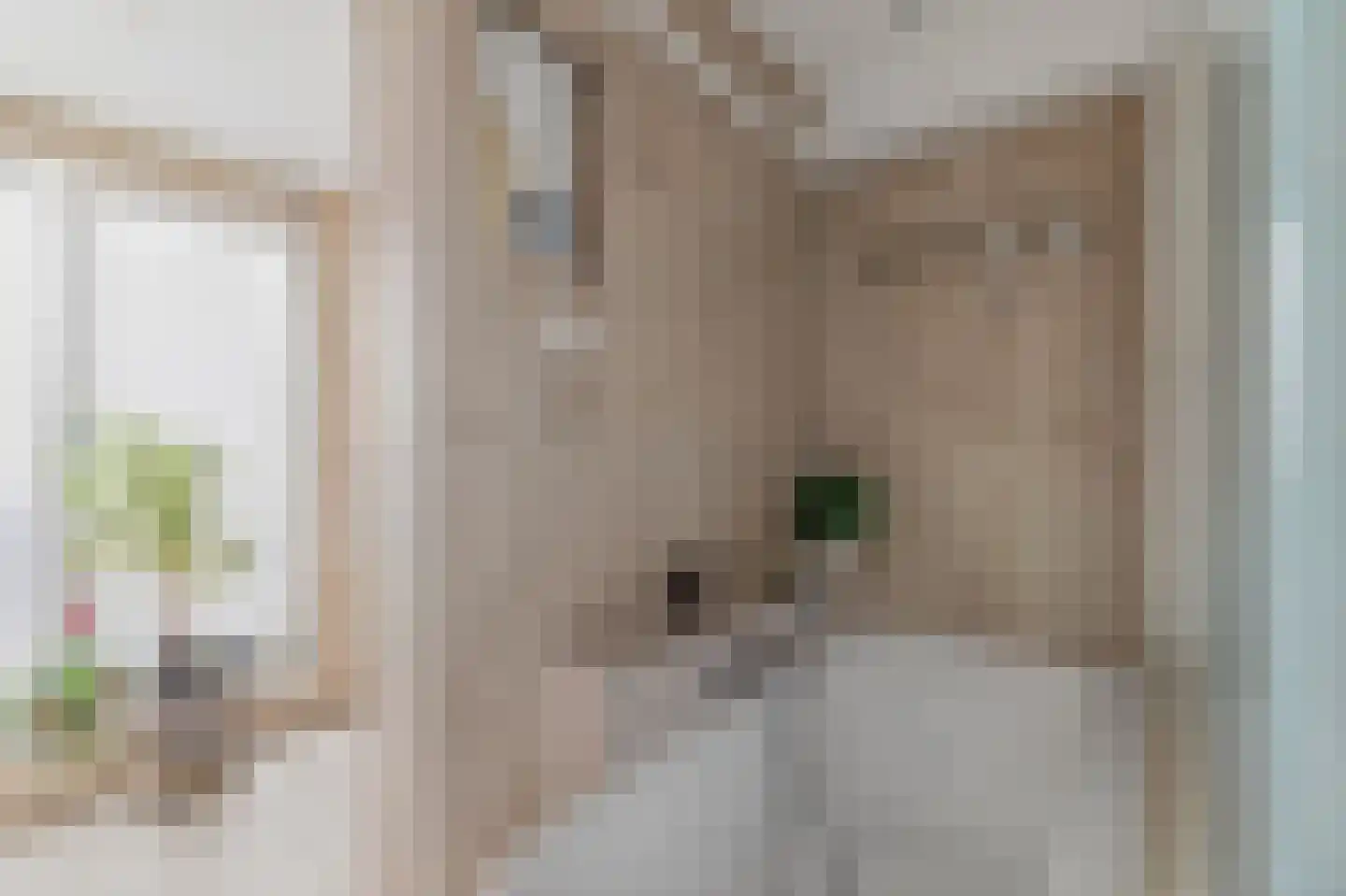 Parnassusweg 31 H Amsterdam thumbnail 32