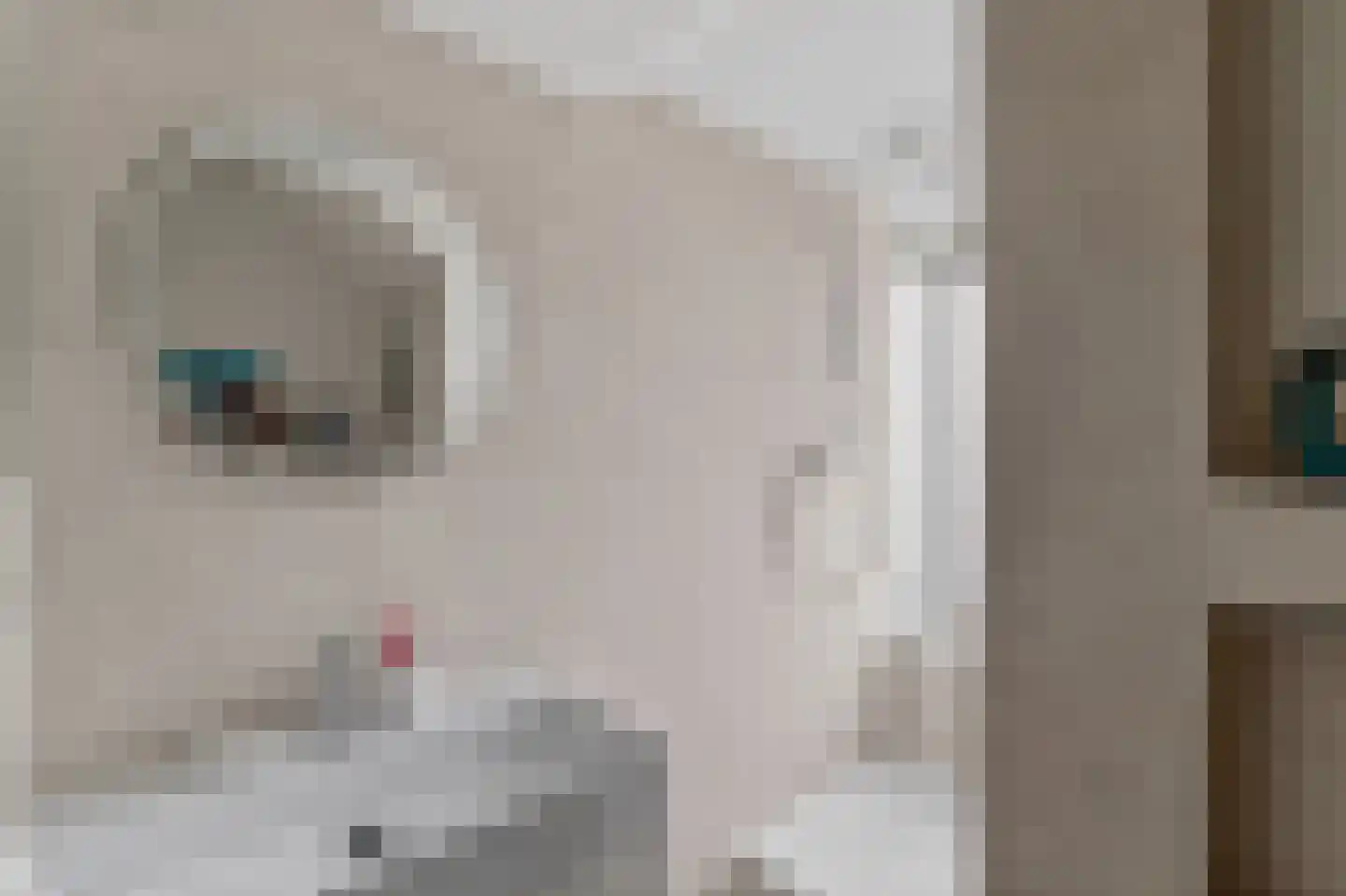Parnassusweg 31 H Amsterdam thumbnail 40