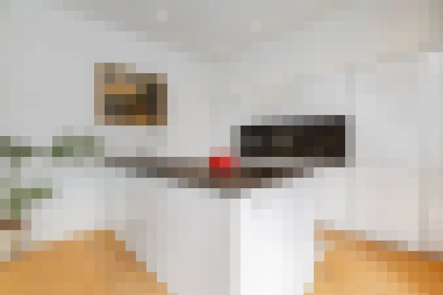 Parnassusweg 34 1 Amsterdam thumbnail 10