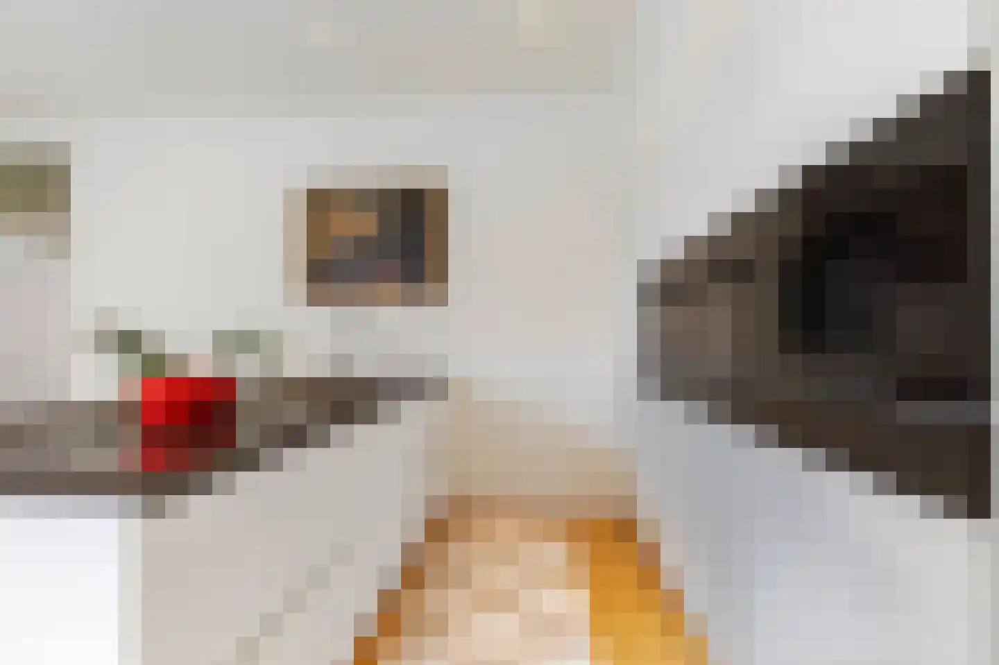 Parnassusweg 34 1 Amsterdam thumbnail 11