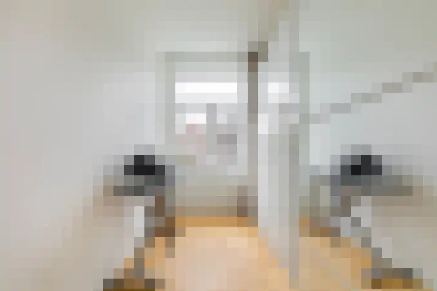 Parnassusweg 34 1 Amsterdam thumbnail 21
