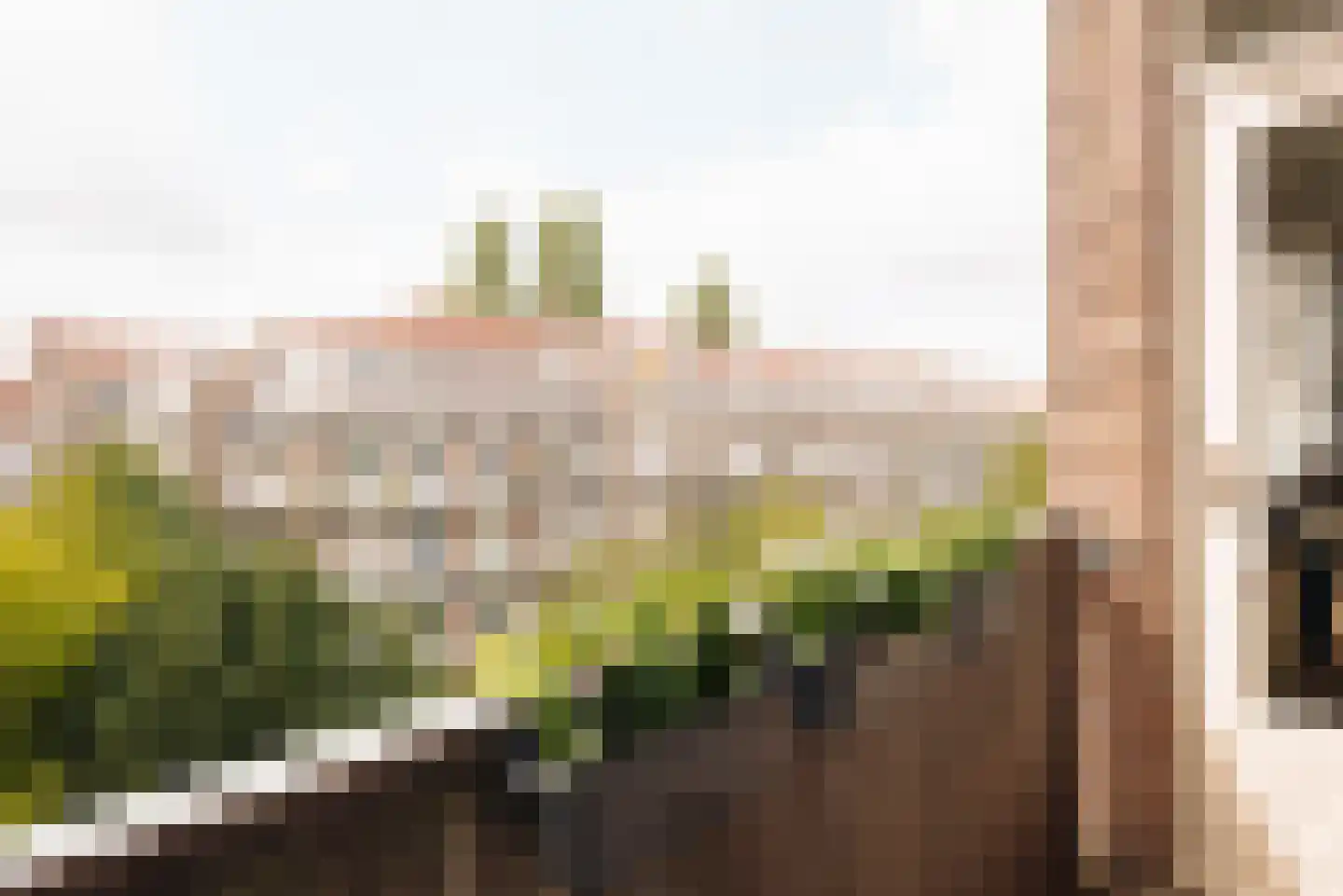 Parnassusweg 34 2 Amsterdam thumbnail 18