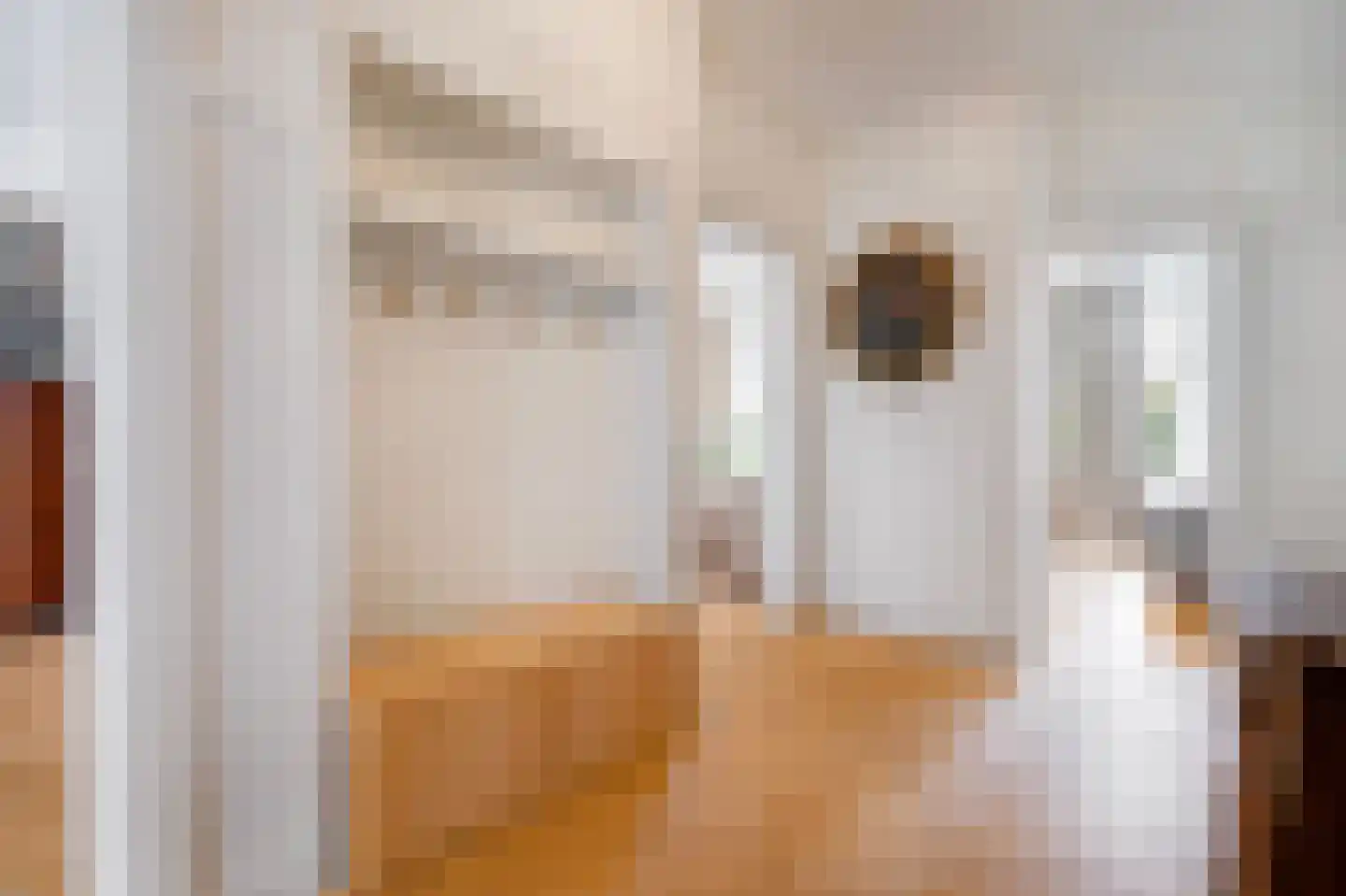 Parnassusweg 34 2 Amsterdam thumbnail 22