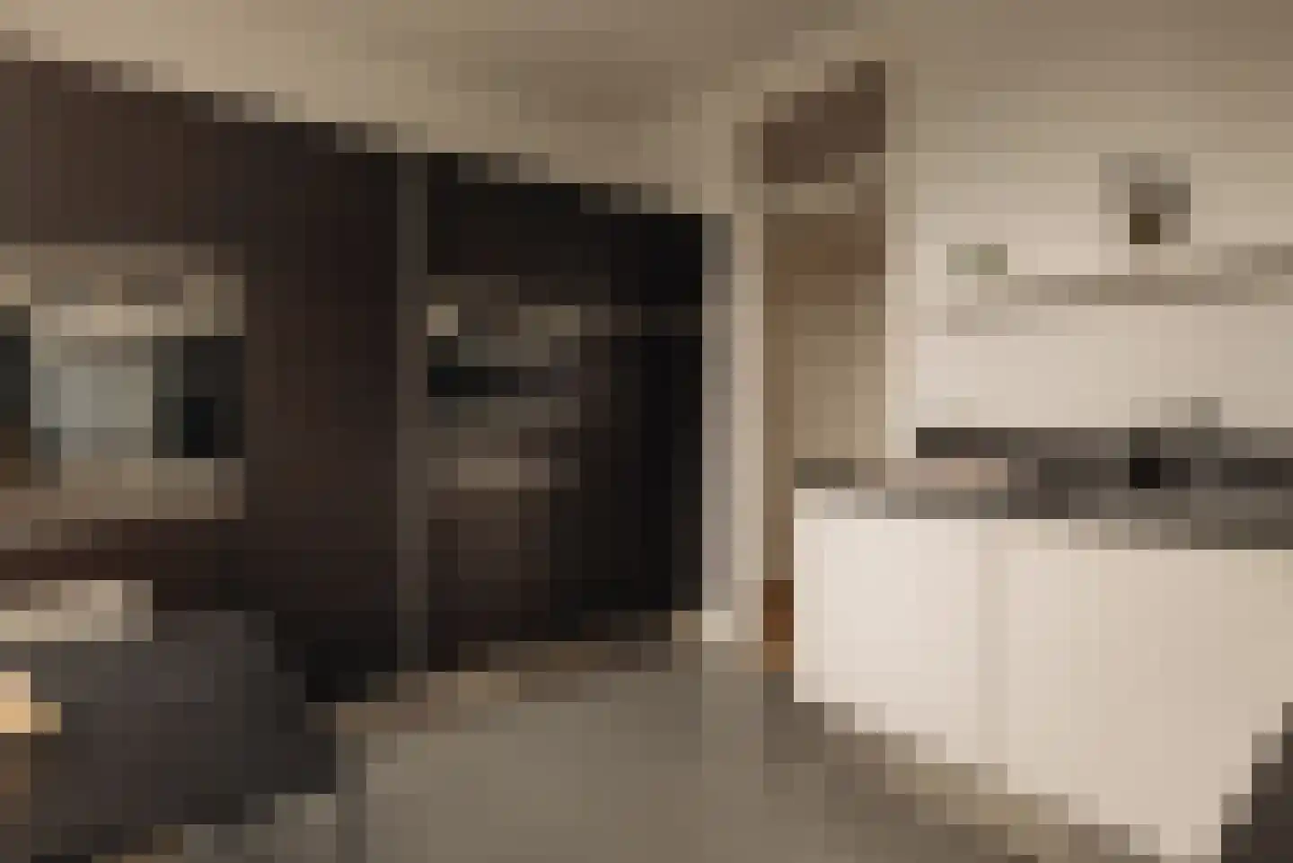 Parnassusweg 34 2 Amsterdam thumbnail 23