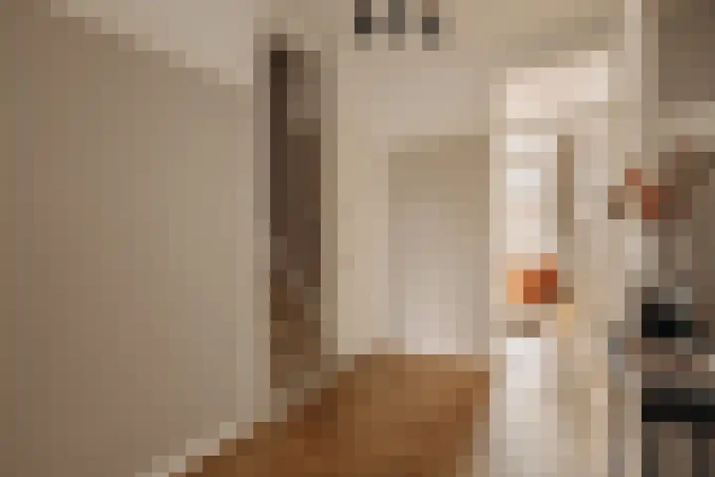 Parnassusweg 34 2 Amsterdam thumbnail 26