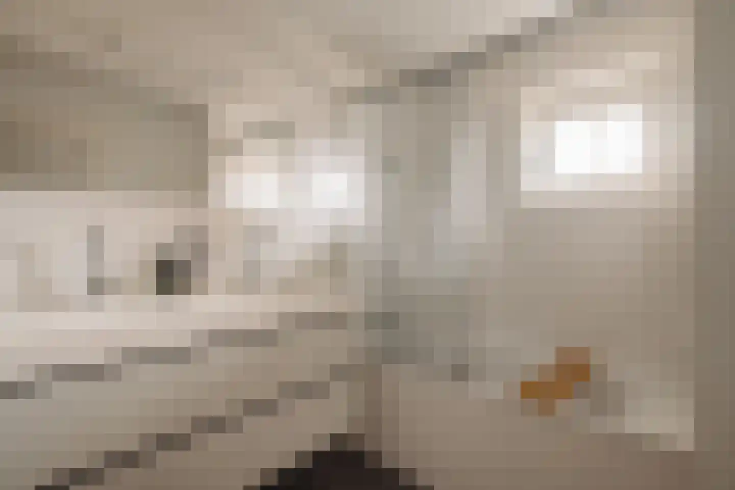Parnassusweg 34 2 Amsterdam thumbnail 28