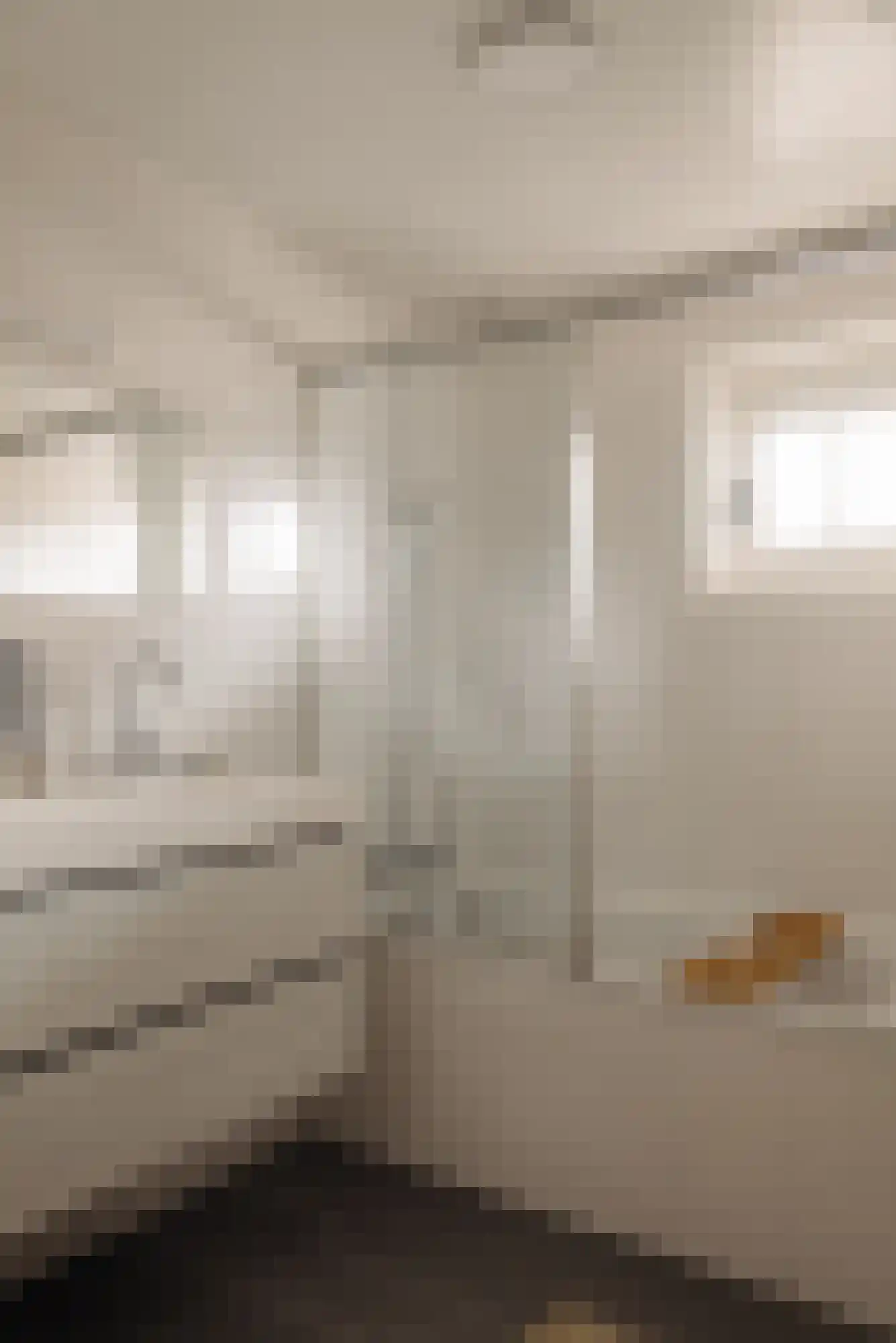 Parnassusweg 34 2 Amsterdam thumbnail 30