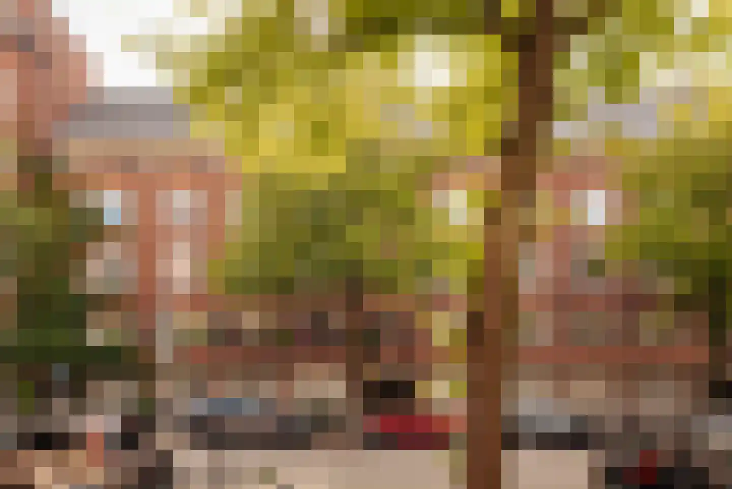 Parnassusweg 34 2 Amsterdam thumbnail 6