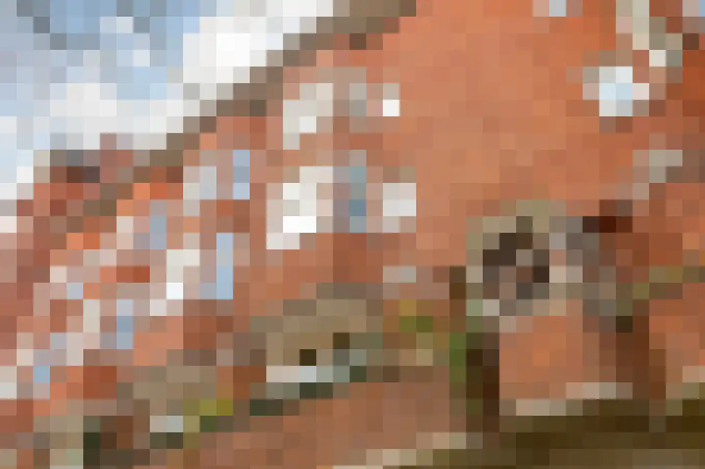 Parnassusweg 34 3 Amsterdam