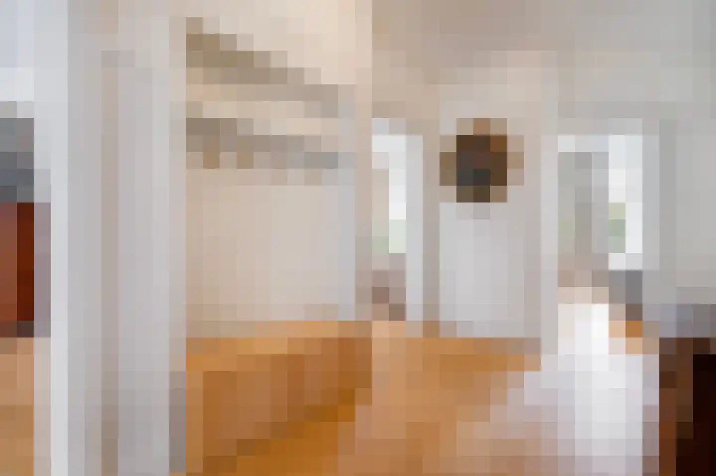 Parnassusweg 34 3 Amsterdam thumbnail 22