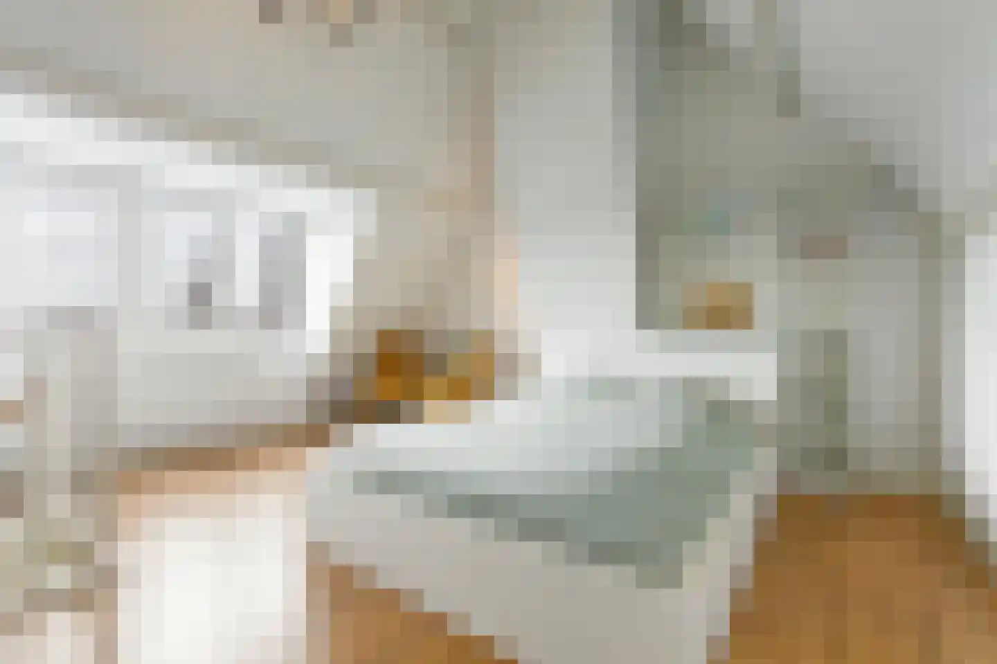Parnassusweg 34 3 Amsterdam thumbnail 35
